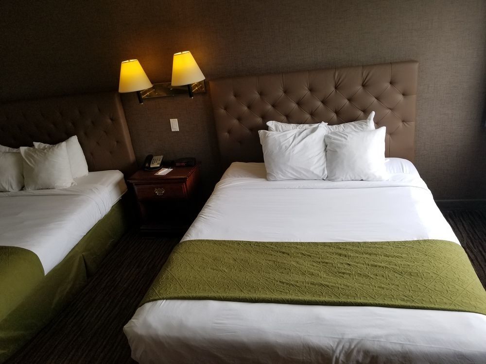 Quality Inn Kamloops Dış mekan fotoğraf