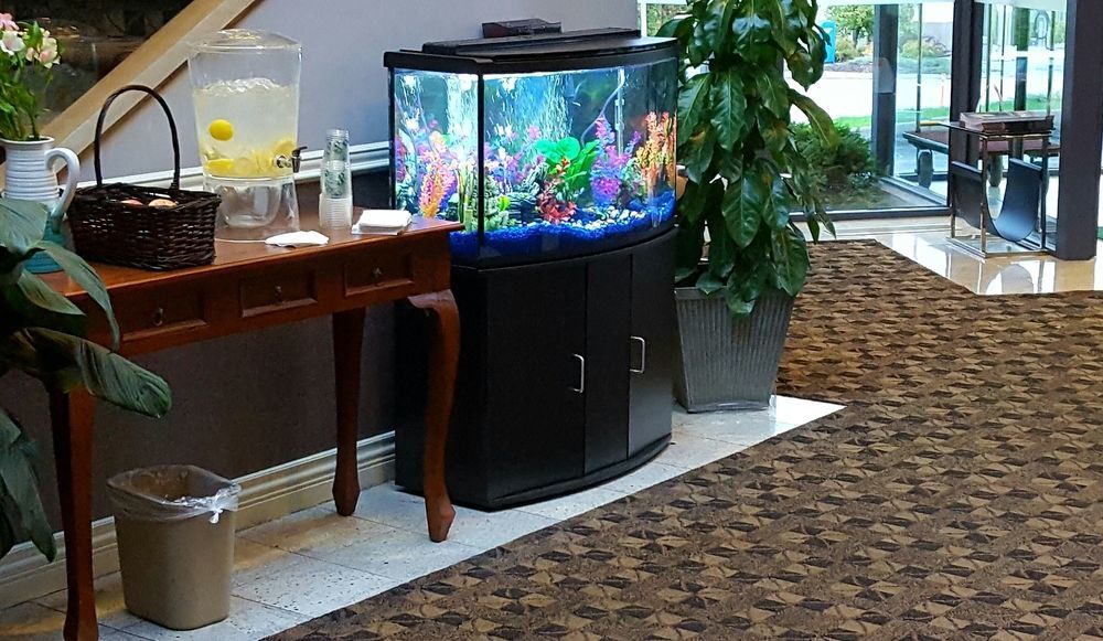 Quality Inn Kamloops Dış mekan fotoğraf